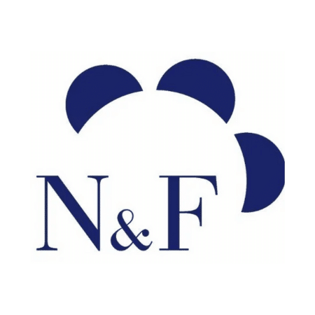 Logo mit Buchstaben N und F in Blau