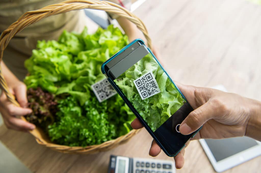 Scanning QR on lettuce with smartphone.