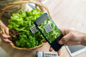 Scanning QR on lettuce with smartphone.