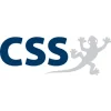 CSS Logo